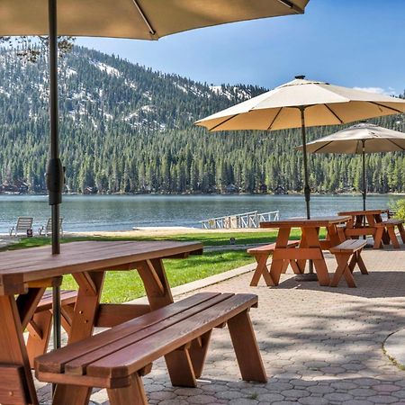 Cozy Studio W/Kitchen #112 At Donner Lake Village Truckee Exterior photo